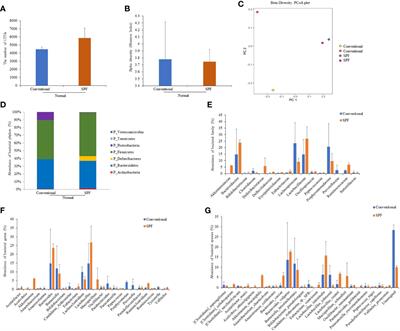 Interrelationship of Stress, Environment, and Herpes Simplex Virus Type-1 on Behçet’s Disease: Using a Mouse Model